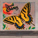 The Detroit Cobras - right now 7" Vinyl BLUE Vinyl Pressing 