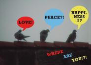 Postkarte "LOVE! PEACE?! HAPINESS!?" René Seim 